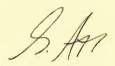 Signature Simone Ari